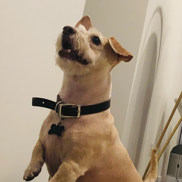 Meet your Posher, Nancy - Picture 1 of 1